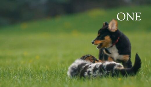 京都・宇治で展開する合同会社ONEのトータルコンディショニングと健康サポート