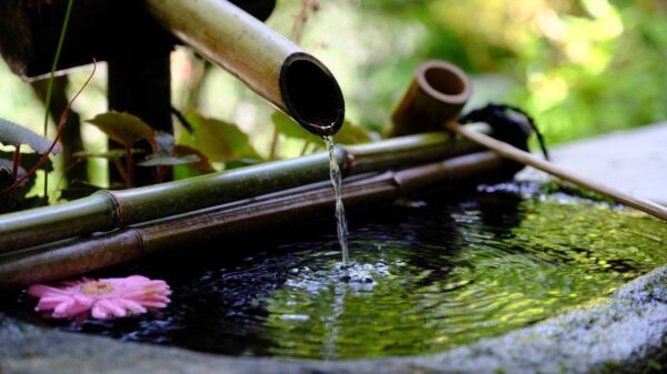 セレンデュピティー